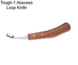 Tough-1 Abscess Loop Knife