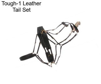 Tough-1 Leather Tail Set