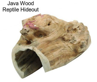 Java Wood Reptile Hideout