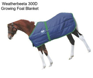 Weatherbeeta 300D Growing Foal Blanket