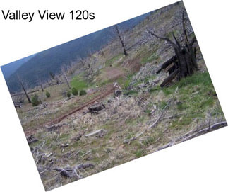 Valley View 120s