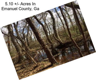 5.10 +/- Acres In Emanuel County, Ga