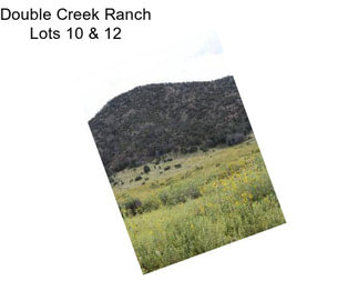 Double Creek Ranch Lots 10 & 12