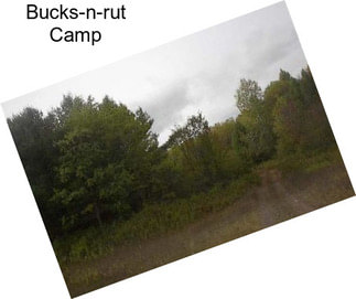 Bucks-n-rut Camp