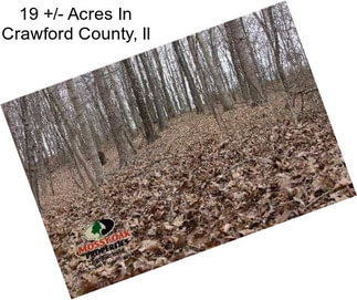 19 +/- Acres In Crawford County, Il