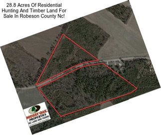 28.8 Acres Of Residential Hunting And Timber Land For Sale In Robeson County Nc!