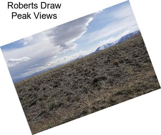 Roberts Draw Peak Views