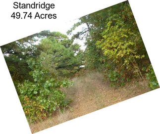 Standridge 49.74 Acres