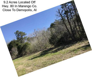 9.2 Acres Located Off Hwy. 80 In Marengo Co. Close To Demopolis, Al