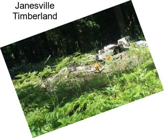 Janesville Timberland