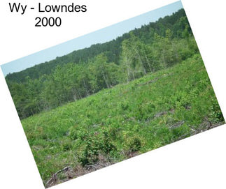 Wy - Lowndes 2000