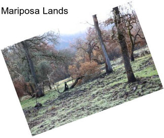 Mariposa Lands