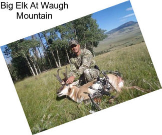 Big Elk At Waugh Mountain