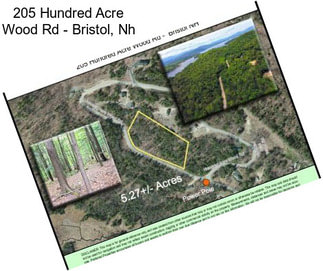 205 Hundred Acre Wood Rd - Bristol, Nh