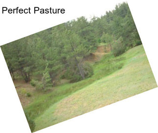 Perfect Pasture