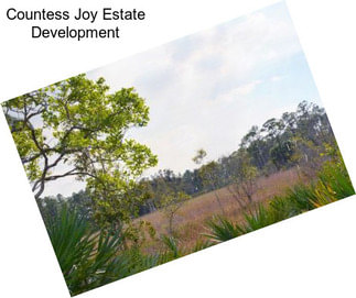 Countess Joy Estate Development