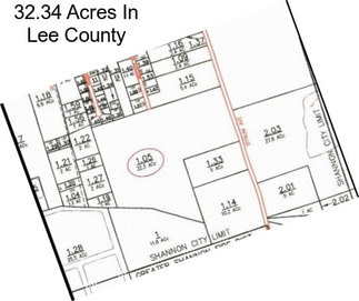 32.34 Acres In Lee County