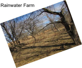 Rainwater Farm