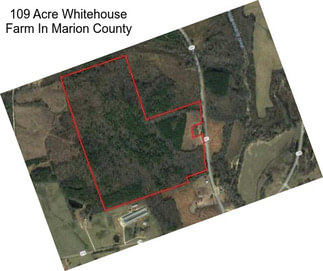 109 Acre Whitehouse Farm In Marion County