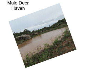 Mule Deer Haven