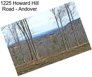 1225 Howard Hill Road - Andover