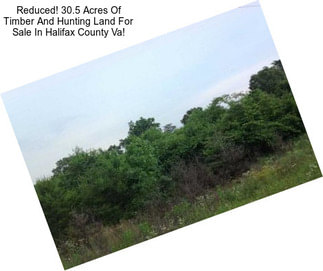 Reduced! 30.5 Acres Of Timber And Hunting Land For Sale In Halifax County Va!