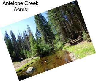 Antelope Creek Acres