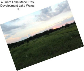 40 Acre Lake Mabel Res. Development Lake Wales, Fl