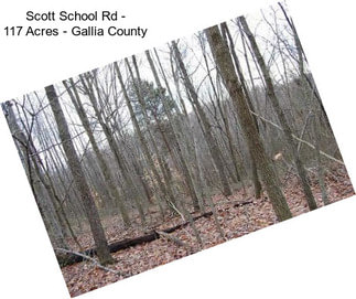 Scott School Rd - 117 Acres - Gallia County