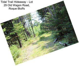 Tidal Trail Hideaway - Lot 29 Old Wagon Road, Roque Bluffs