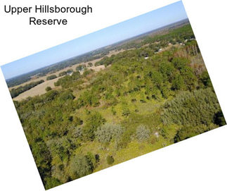 Upper Hillsborough Reserve