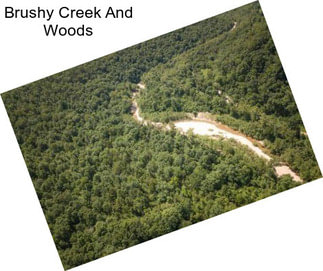 Brushy Creek And Woods