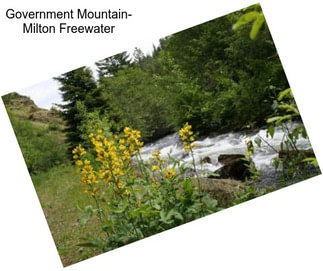 Government Mountain- Milton Freewater