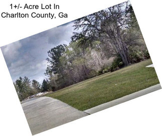 1+/- Acre Lot In Charlton County, Ga