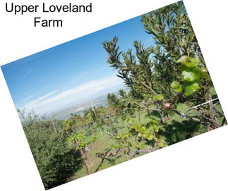 Upper Loveland Farm