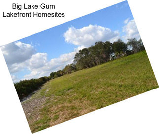 Big Lake Gum Lakefront Homesites