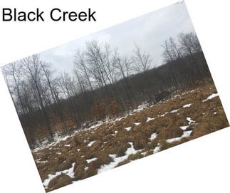 Black Creek