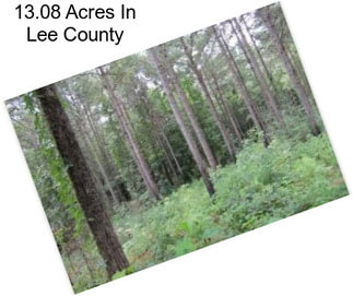 13.08 Acres In Lee County