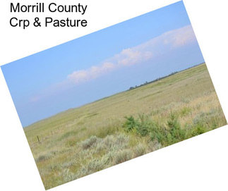 Morrill County Crp & Pasture