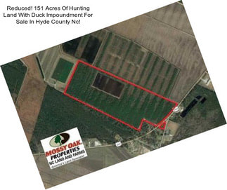 Reduced! 151 Acres Of Hunting Land With Duck Impoundment For Sale In Hyde County Nc!