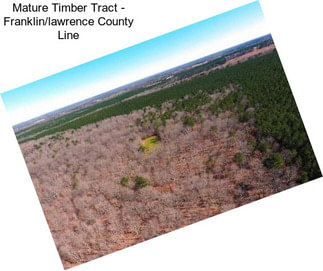 Mature Timber Tract - Franklin/lawrence County Line