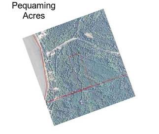 Pequaming Acres