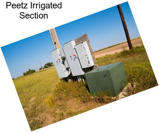 Peetz Irrigated Section