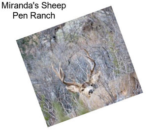 Miranda\'s Sheep Pen Ranch