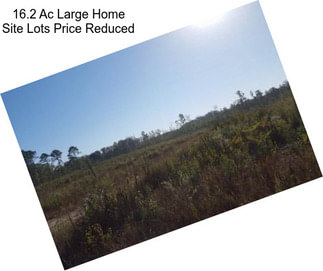 16.2 Ac Large Home Site Lots Price Reduced