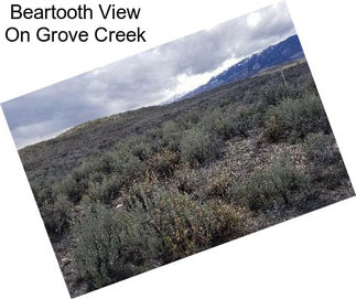 Beartooth View On Grove Creek