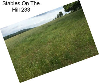Stables On The Hill 233