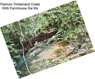 Pasture Timberland Creek With Farmhouse Sw Ms