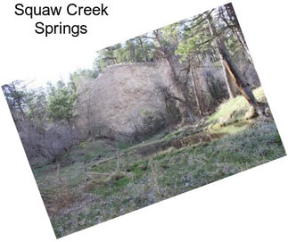 Squaw Creek Springs