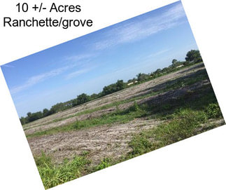 10 +/- Acres Ranchette/grove